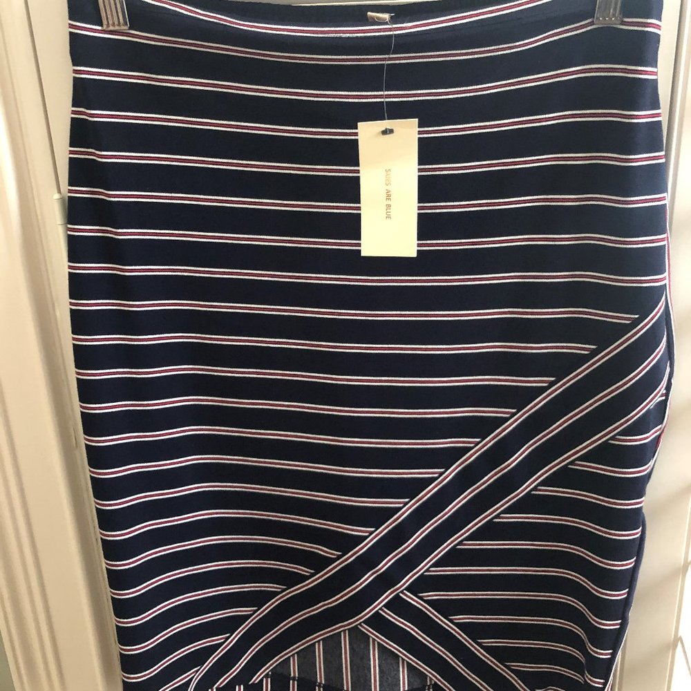 Skies are Blue Striped Skirt